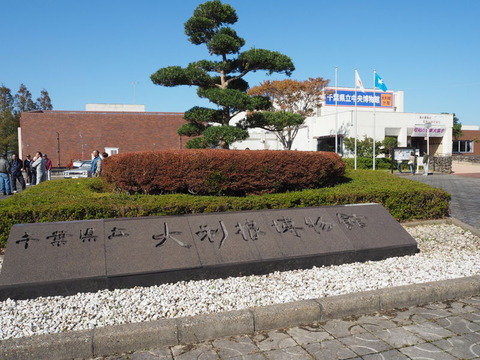 PB031165