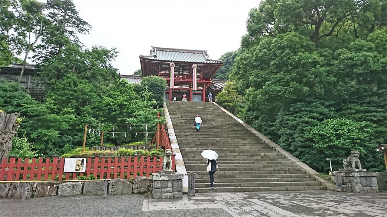 鶴岡八幡宮