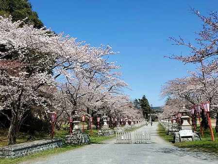 152_相馬中村神社、四季折々の姿