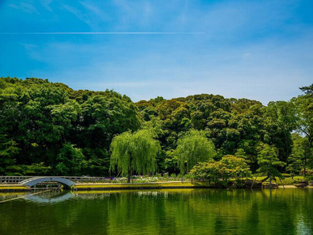 145_池泉回遊式庭園