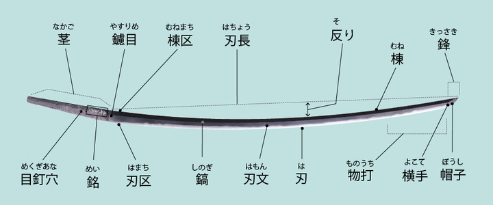 姿