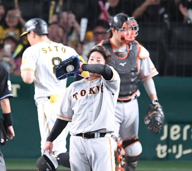 taisei