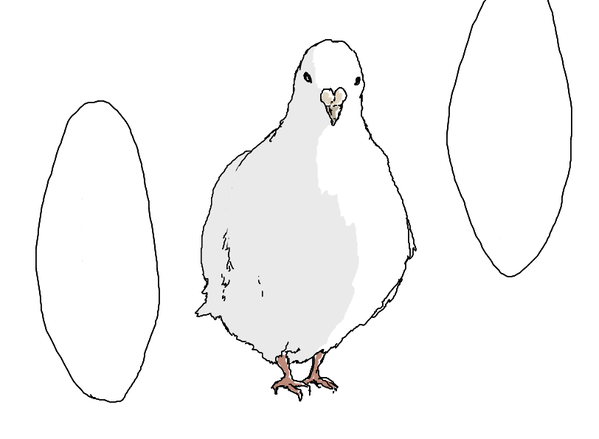 刀剣乱舞 遠征呼び戻し鳩はこんな風に呼び戻してると思う とある審神者 とうらぶ速報 刀剣乱舞まとめブログ 刀剣乱舞 遠征呼び戻し鳩はこんな風に呼び戻してると思う とある審神者 とうらぶ速報 刀剣乱舞まとめブログ