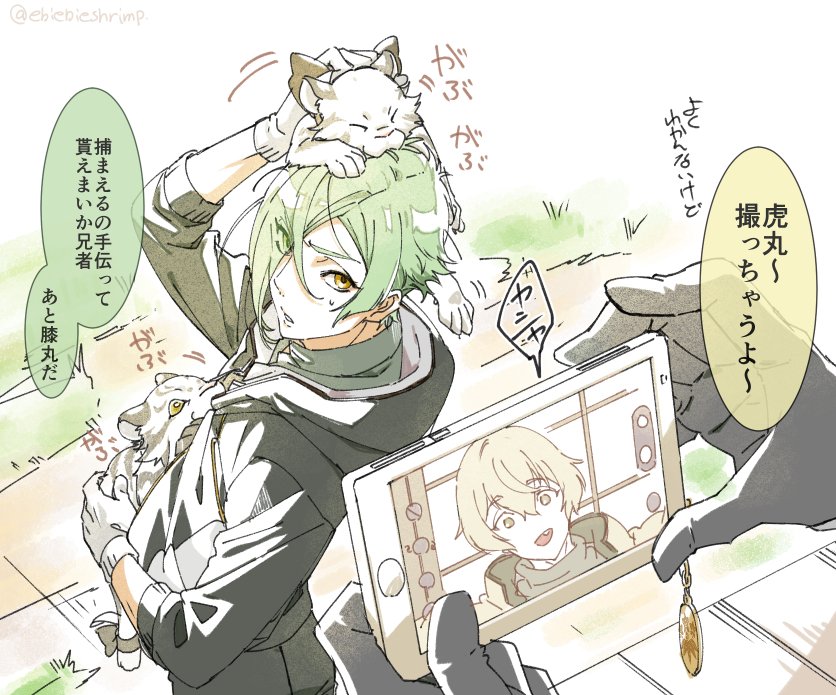 刀剣乱舞 五虎退の虎を捕まえる膝丸 髭切 五虎退 とある審神者 とうらぶ速報 刀剣乱舞まとめブログ