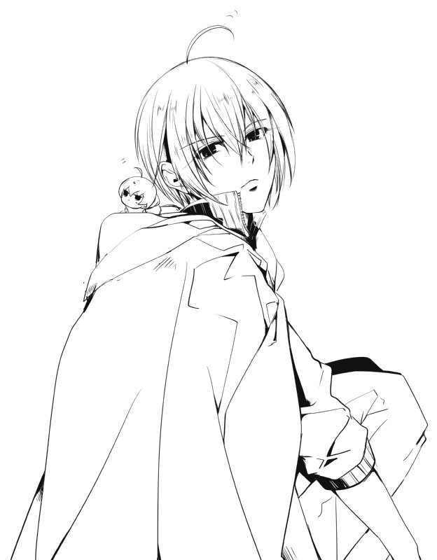 刀剣乱舞 布なし山姥切 とある審神者 とうらぶ速報 刀剣乱舞まとめブログ