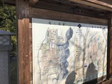 IMG_1978