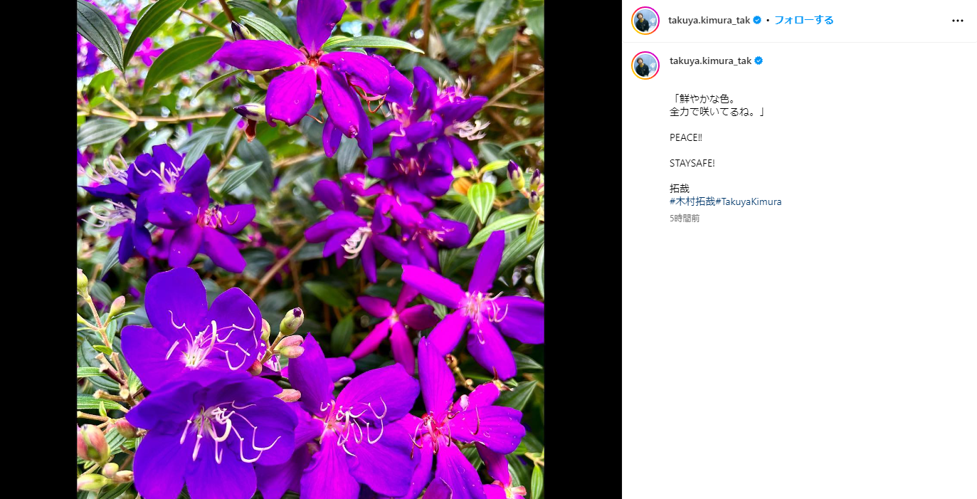 【キムタク】木村拓哉、2日ぶりインスタ更新 鮮やかな花の写真に「全力で咲いてるね」 この日の報道には触れず : バイクネタまとめ