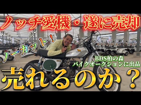 22 10 25 動画 ノッチ 極上愛車をオークション出品 12年乗り続けた1974年式エルシノアが高額で落札 についてtwitterの反応 バイクネタまとめ 22 10 25 動画 ノッチ 極上愛車をオークション出品 12年乗り続けた1974年式エルシノアが高額で落札 についてtwitterの反応 バイクネタまとめ