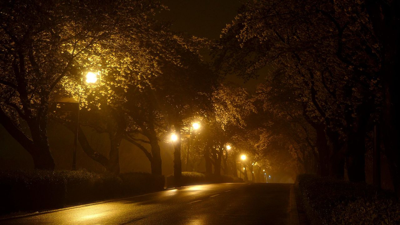 霧雨煙る夜桜鑑賞♪ : ぐだぐだ、時々さわやか