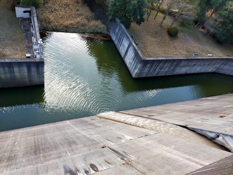 IMG20201220110916