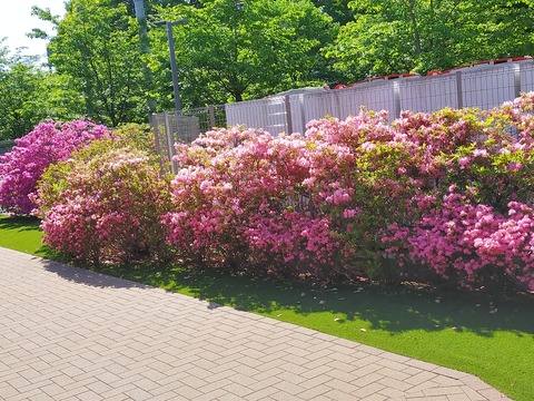 IMG20210422083039