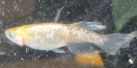 スクリーンショット (78)