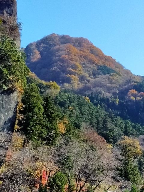 IMG20201122110324