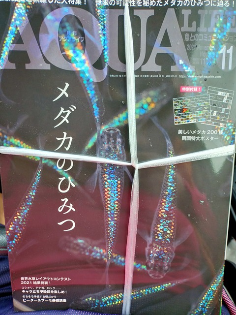IMG20211017105742