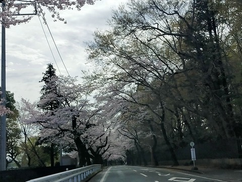 IMG20230324091730