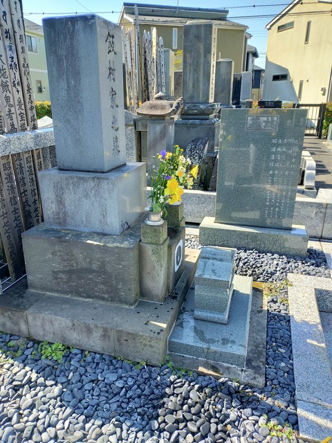 IMG20230319094653
