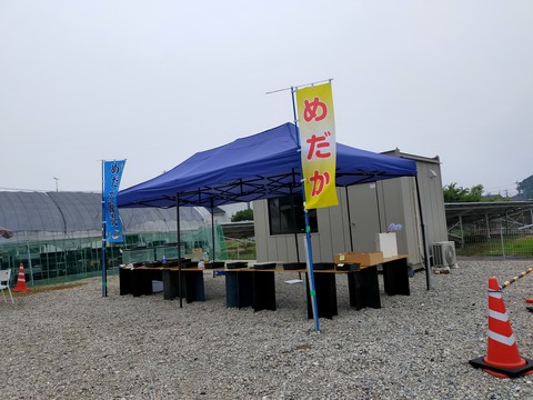 IMG20220618120344