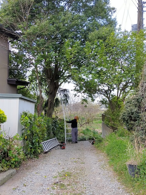 IMG20210403105532