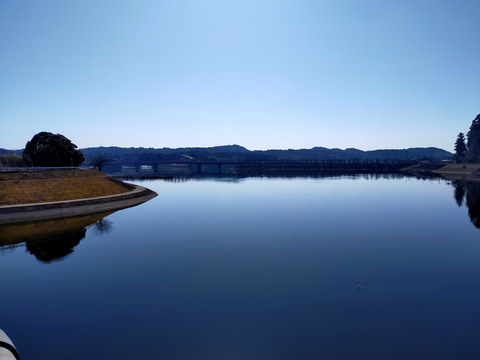 IMG20210207104130