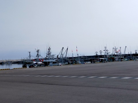 IMG20220424080354