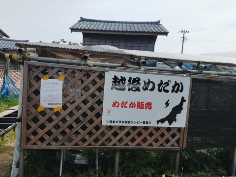 IMG20230521095249_01