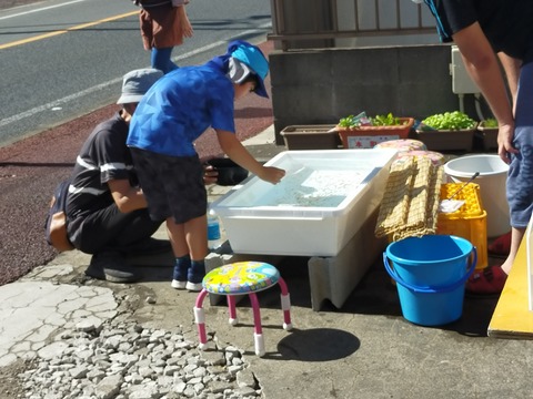 IMG20230729151948 (1)