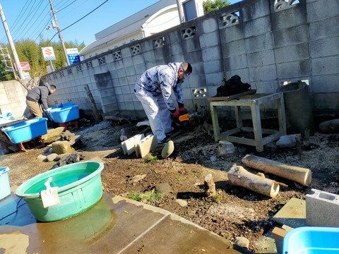 IMG20221220105042