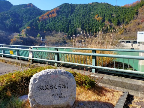 IMG20201122111742