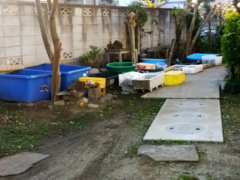 IMG20201215080202