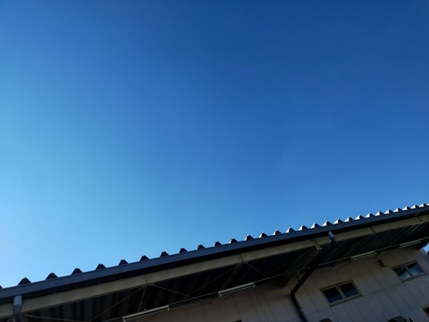 IMG20211114124641