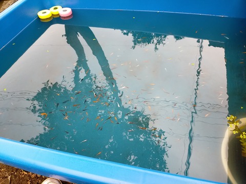 IMG20201101155025