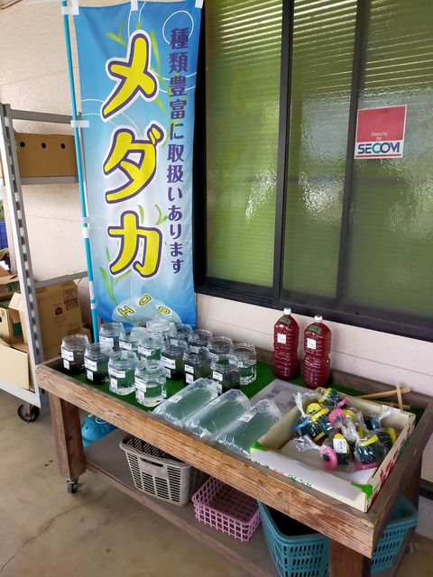 IMG20220708141658