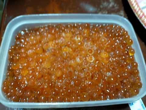 IMG20211230170505