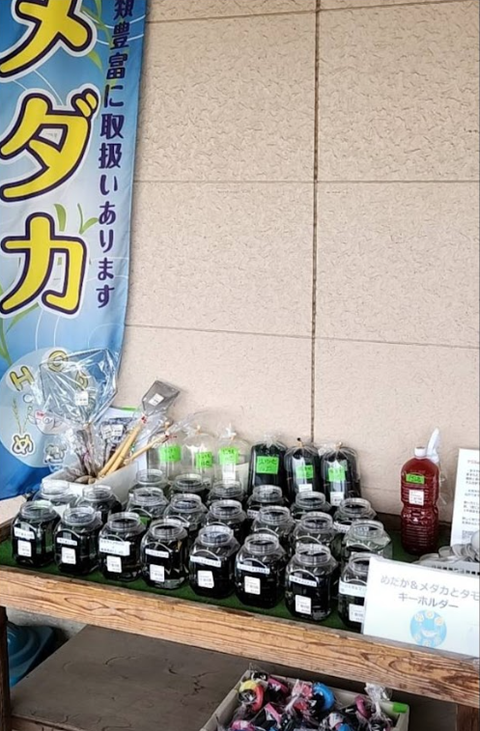 スクリーンショット (319)