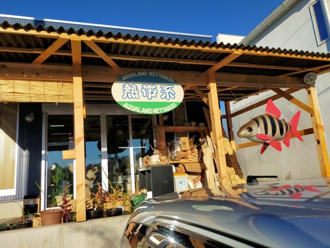 IMG20211218151459