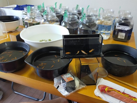 IMG20230502121017