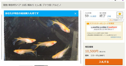 スクリーンショット (5)