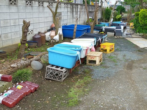 IMG20220611143931