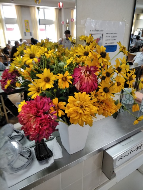 IMG_20180730_093953