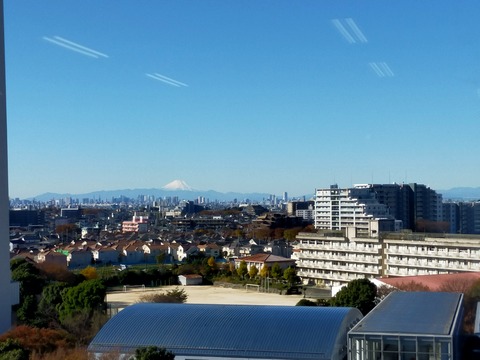 IMG20211202101924
