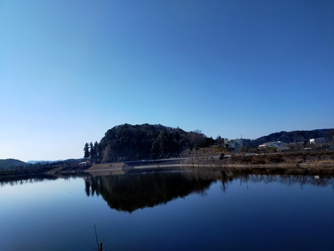 IMG20210207104527