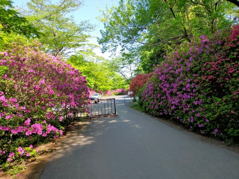 IMG20210422082337