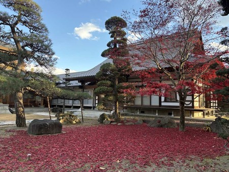 28389355-8B4B-4EF9-8FFB-18E43F9FF32F_1_105_c