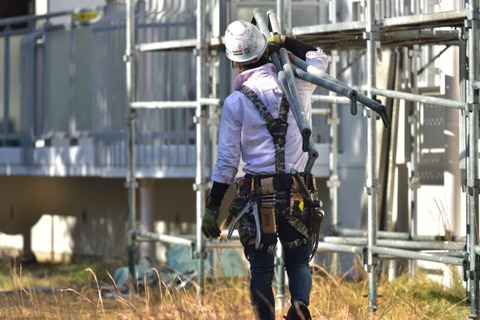 現場の上司「ネコ持ってきて、あとモンキーも」