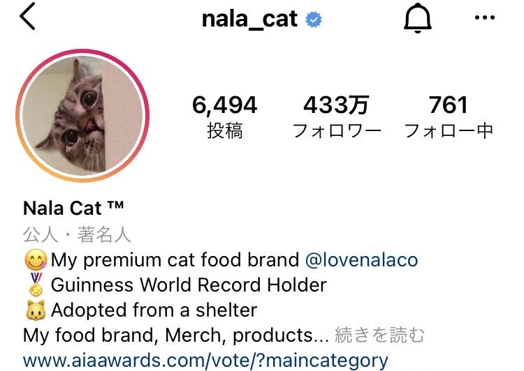 悲報】猫様、YouTubeで年収億超えｗｗｗｗｗｗｗｗ : 投資ちゃんねる