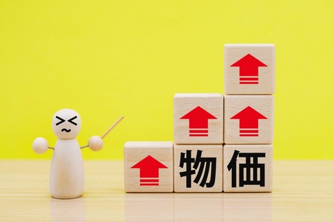 【悲報】物価、ますます上がる模様・・・