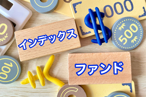 「インデックス投資」とか言うクソ退屈な投資方法ｗｗｗｗｗ