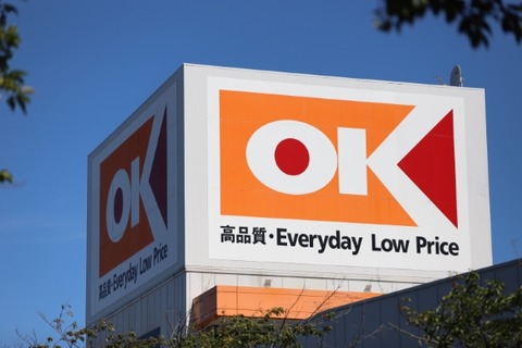 【画像あり】OKストアさん、300円で「このレベルのカツ丼」を提供してしまう