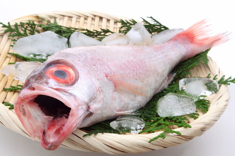 【画像あり】高級魚ノドグロを「1kg」頼んだ結果wwwww