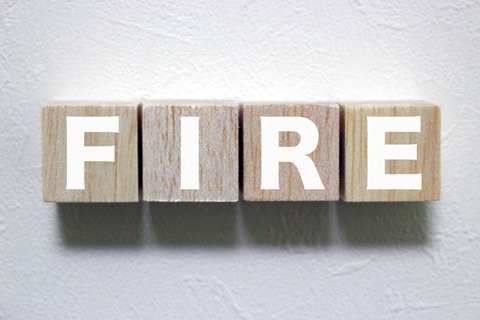 ワイ「FIREしたい」君たち「FIREしてなにすんの？」→